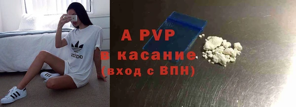 индика Абинск
