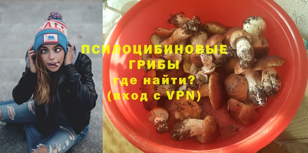 эйфоретик Надым