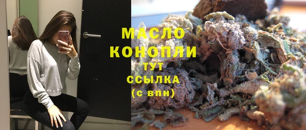 индика Абинск