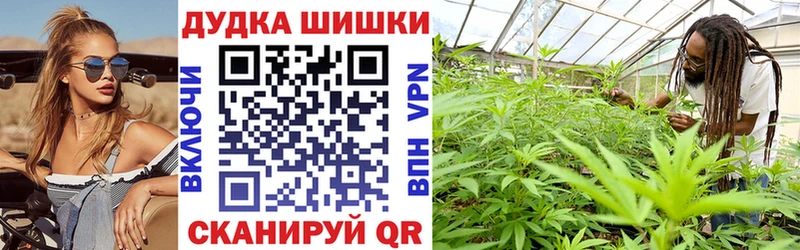 как найти наркотики  Ильский  Шишки марихуана VHQ 